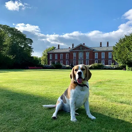 Bosworth Hall Hotel & Spa-3